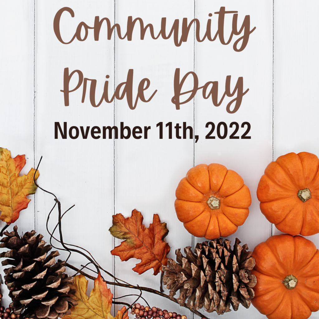 community pride day